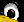Pinguin-Auge